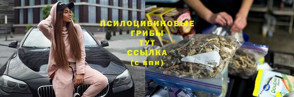 ECSTASY Медвежьегорск